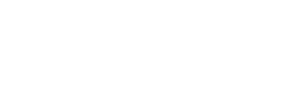 Dr. Vittorio Ferri | Logo bianco